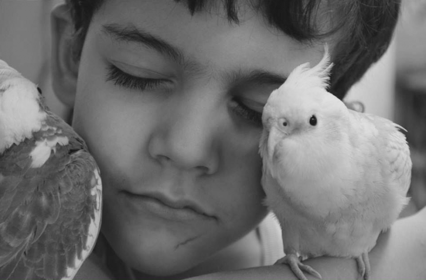 Foto em preto e branco de Francisco, em close, de olhos fechados e com dois pássaros próximos ao rosto, em sinal de carinho.