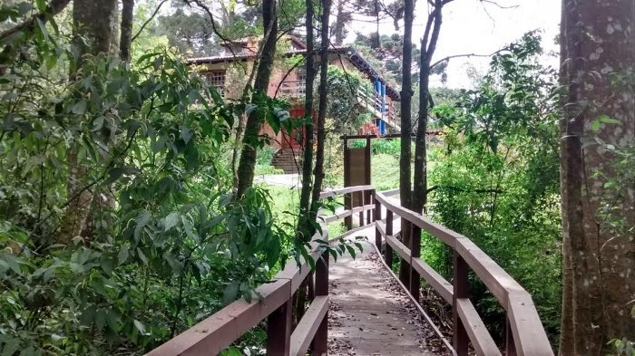 Foto de uma ponte em madeira em uma trilha arborizada