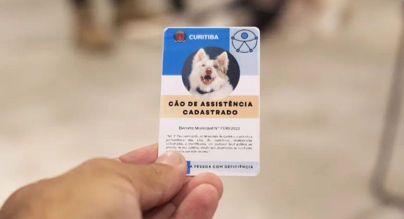 Foto em close da mão de uma pessoa segurando a credencial de cão de assistência cadastrado